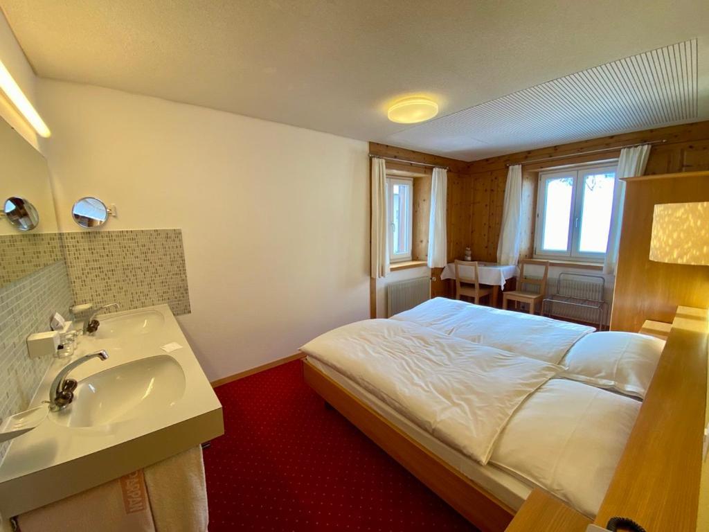Hotel Alpina Parpan Luaran gambar